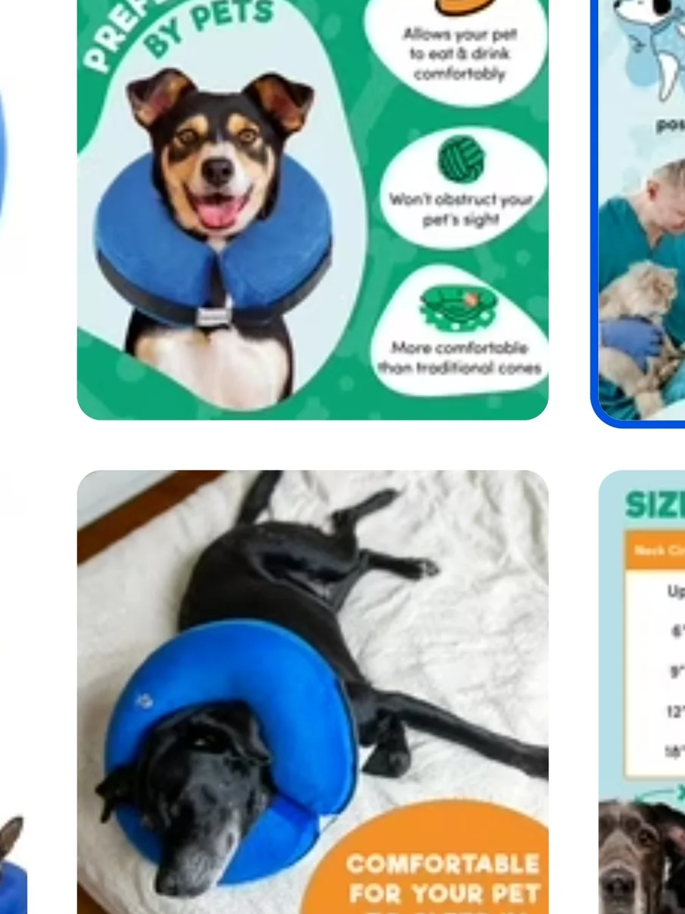XL Blue Inflatable Dog Recovery Collar (40)